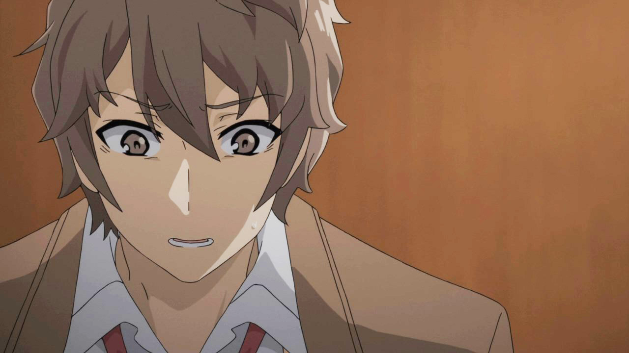 HorribleSubs] Seishun Buta Yarou wa Bunny Girl Senpai no Yume wo Minai - 09  [720p].mkv_snapshot_09.25_[2018.11.29_11.52.42] - IntoxiAnime